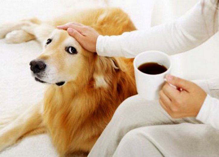 Собаки пьют чай. Собака с чашкой кофе. Собака с чашкой чая. Чашки для собак. Собачка с кружкой кофе.