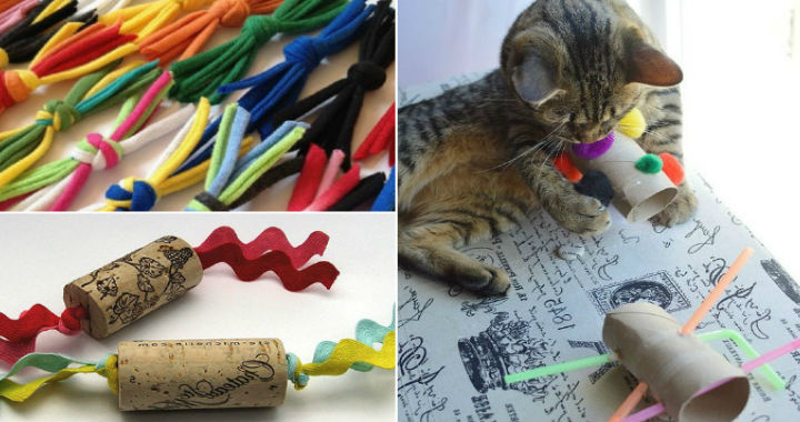 Самодельные игрушки для кошки из подручных материалов