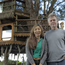 Супруги соорудили домик на дереве за 30 000 $ и теперь вынуждены отстаивать свои права в суде