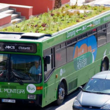 На городских автобусах в Каталонии появились зеленые крыши, которые вырабатывают кислород