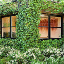 Изюминка домашнего сада: превращаем обычный сарай в роскошную зеленую студию